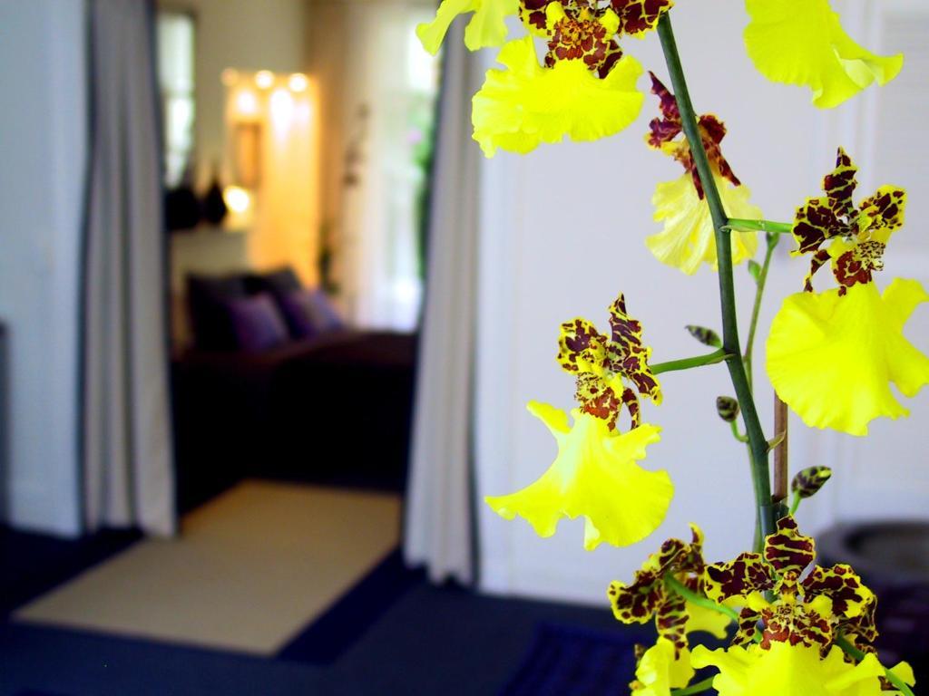 Palace B&B Amsterdam Rum bild